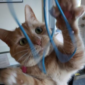 Meet your Posher, Dayna